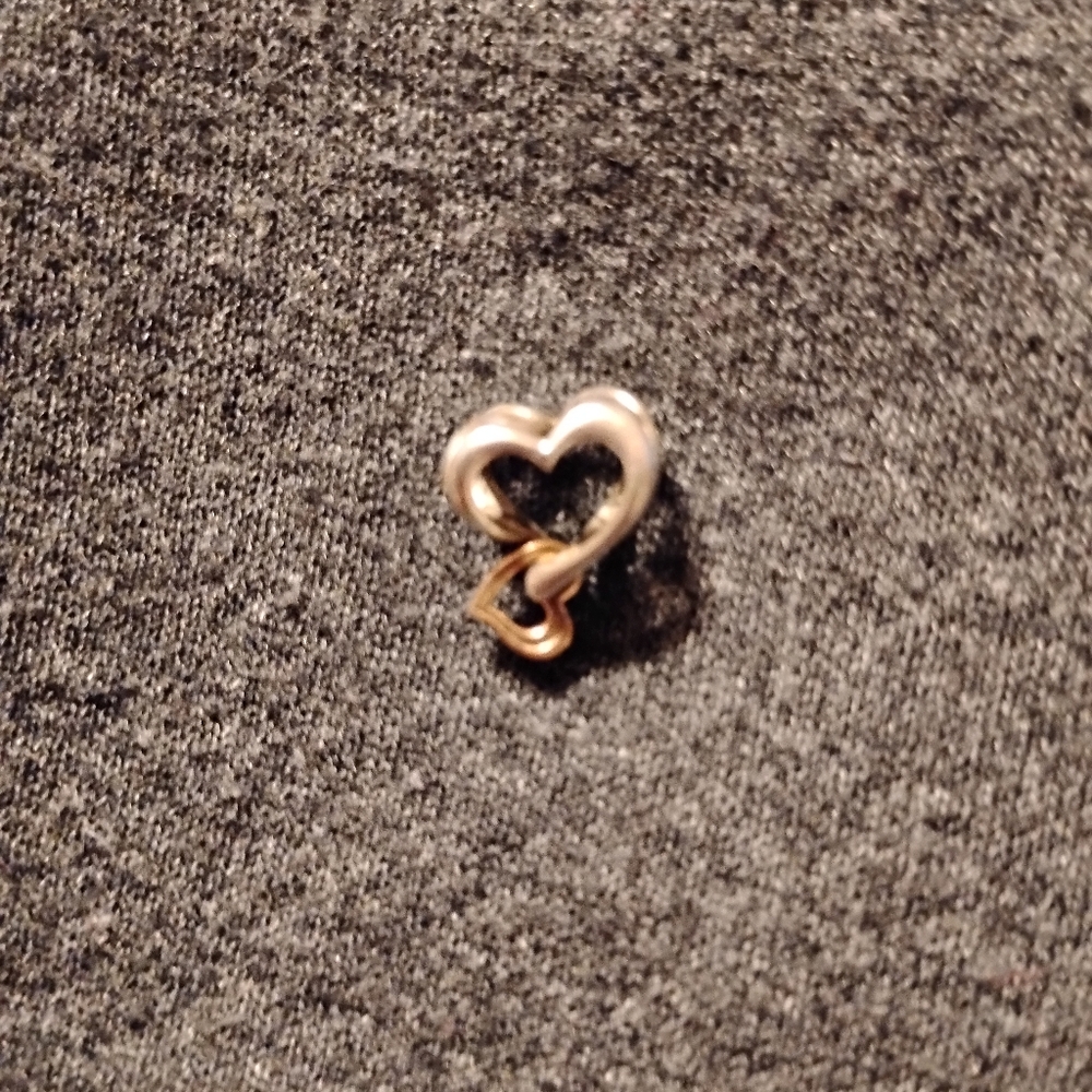 Pandora Charm